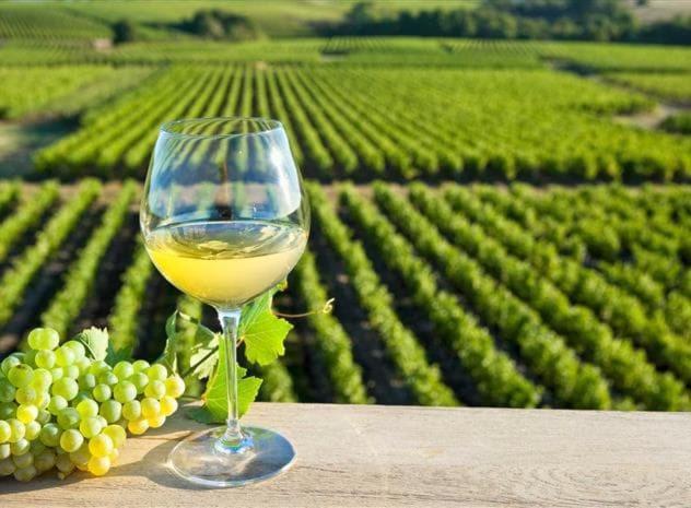 Dependance Chaleureuse Dans Le Vignoble Nantais
